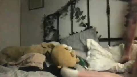 hani__moon_ online show from 11-13-25, 06:01