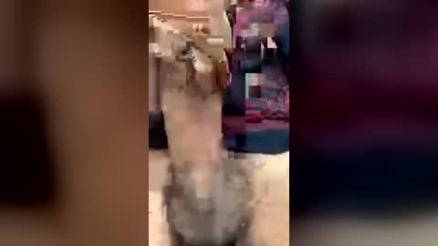 happy_2please online show from 06-20-26, 03:59