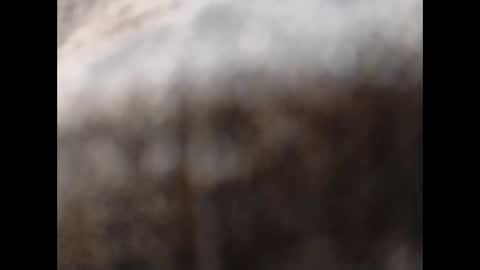 hardandhorny422 online show from 11-11-25, 11:54