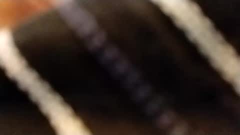 hardandhorny422 online show from 02-12-26, 03:51