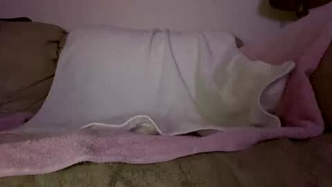 Slim West Cox online show from 02-11-26, 06:51