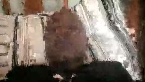 Snapshot of hardcock405186 chatting on 03-28-26, 08:58 hardcock405186 online show from 03-28-26, 08:58