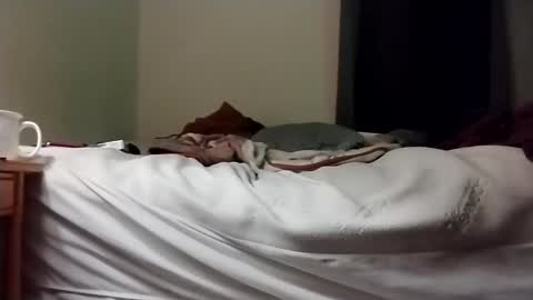 hardcock4u1973 online show from 01-16-25, 01:25