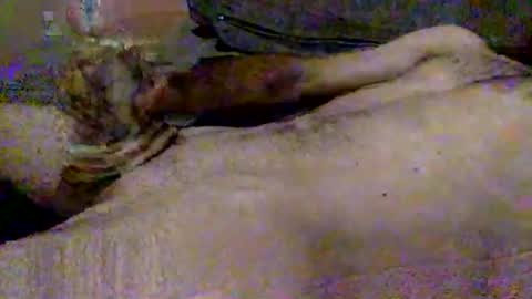 Snapshot of hardiebois chatting on 11-02-25, 09:22 Micheal online show from 11-02-25, 09:22