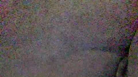 Snapshot of hardiebois chatting on 06-08-26, 04:57 Micheal online show from 06-08-26, 04:57