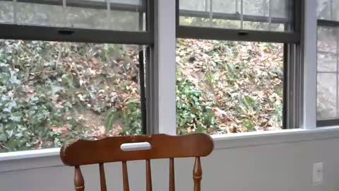 hardworkertn online show from 02-08-25, 07:16