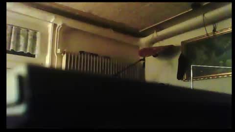 Snapshot of hartwichser1 chatting on 12-08-24, 03:24 hot n nasty online show from 12-08-24, 03:24