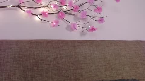 Snapshot of haru_blossom chatting on 01-06-25, 05:06 online show from 01-06-25, 05:06