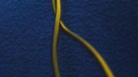 andres online show from 03-05-25, 11:49