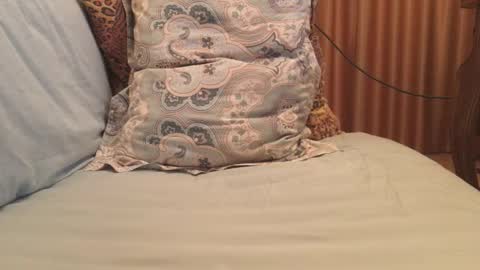 Snapshot of havedream1m chatting on 10-13-25, 09:42 havedream1m online show from 10-13-25, 09:42