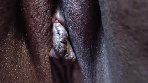 Heather online show from 10-28-25, 03:36