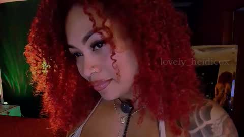 Heidi  online show from 11-14-25, 03:27