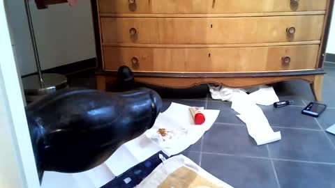 helisporty online show from 11-14-25, 08:13