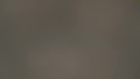 Snapshot of hellohowareyou66 chatting on 03-13-26, 06:58 hellohowareyou66 online show from 03-13-26, 06:58