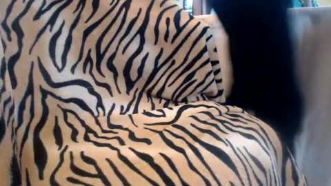 Helvell online show from 02-13-26, 10:44