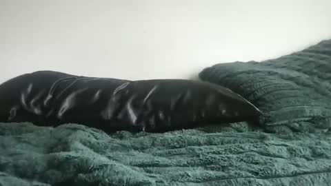 DrixxTheGod online show from 04-05-26, 04:26