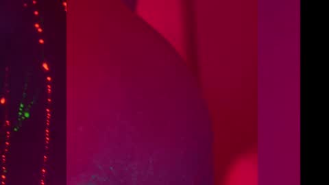 Alina online show from 12-08-24, 07:00