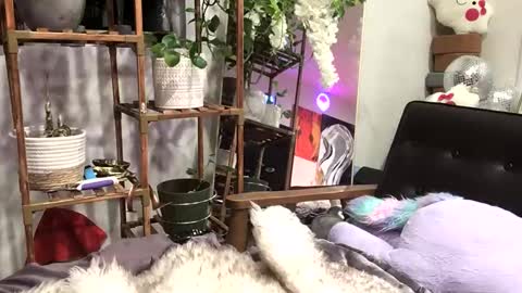 Snapshot of heynicole01 chatting on 01-03-25, 04:44 FlexieFae online show from 01-03-25, 04:44