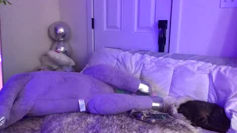 Snapshot of heynicole01 chatting on 02-09-25, 01:22 FlexieFae online show from 02-09-25, 01:22