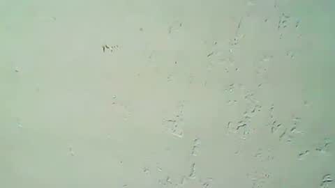 Snapshot of hhhjnf1 chatting on 09-20-25, 03:07 hhhjnf1 online show from 09-20-25, 03:07