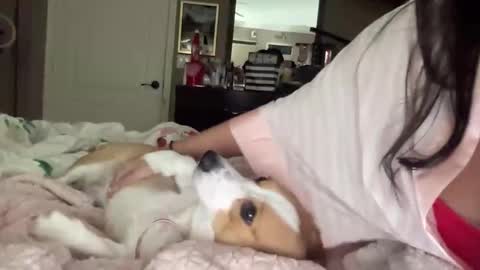 Snapshot of hiddenr0se chatting on 02-14-26, 03:14 HiddenR0se online show from 02-14-26, 03:14