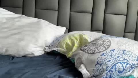 Terry and E online show from 09-21-25, 08:54