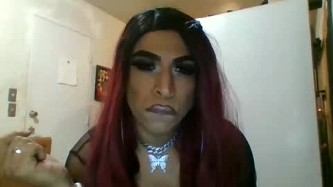 hihheelstranny online show from 04-12-26, 08:08