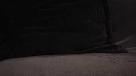 hikinxxx online show from 11-12-25, 03:18