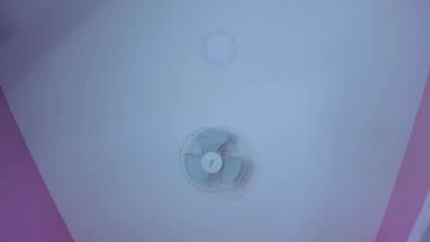 hilary_tailor online show from 12-20-25, 11:28