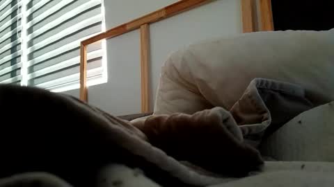 Snapshot of hnkkk88888 chatting on 11-06-25, 12:17 Fucker online show from 11-06-25, 12:17