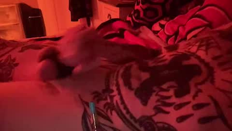 hogboneman online show from 02-09-26, 04:16