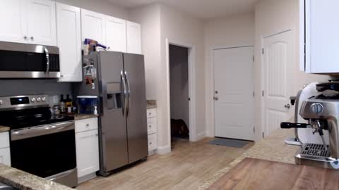 Holi Hurricane online show from 09-24-25, 11:30