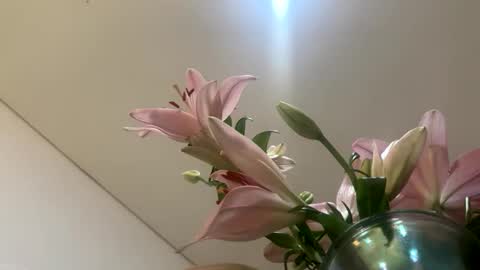 space online show from 01-12-26, 02:28