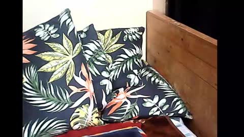 cristy online show from 10-14-25, 10:10