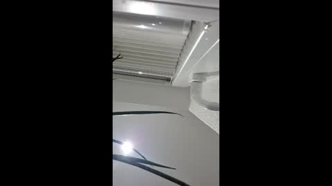 holzinger online show from 04-05-26, 10:51