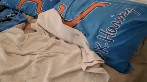 Snapshot of homer1976 chatting on 03-06-25, 02:41 Homer online show from 03-06-25, 02:41