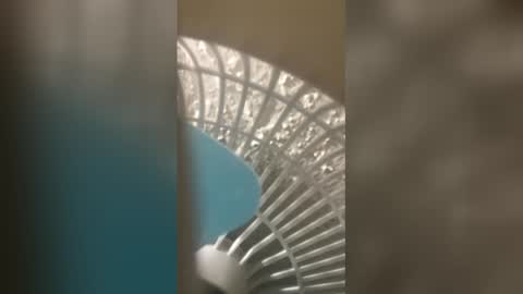 honesti_pretty online show from 02-21-26, 07:15