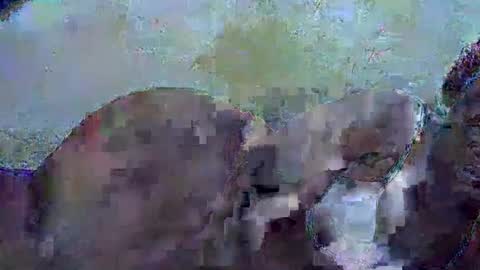 honey_sunshiny online show from 02-03-26, 06:51