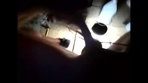 hongdong online show from 11-15-25, 10:23