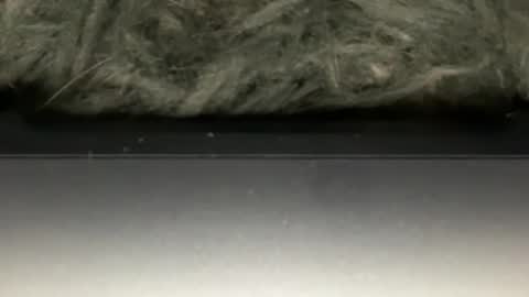 Snapshot of hoodiesahdgoodies chatting on 02-23-26, 05:38 D online show from 02-23-26, 05:38