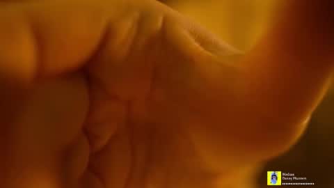 Horney Jozy online show from 11-07-25, 06:52