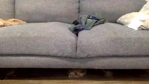 hornnnybwc online show from 03-14-26, 04:23