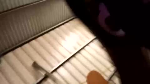 horny24_7_69licker online show from 09-22-25, 11:56
