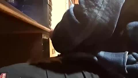 Dominick Subversal online show from 11-01-25, 05:26