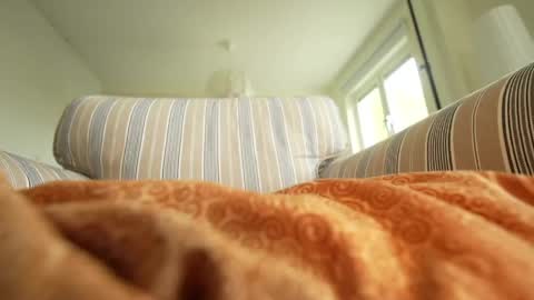 horny_edgucated online show from 05-03-26, 01:17