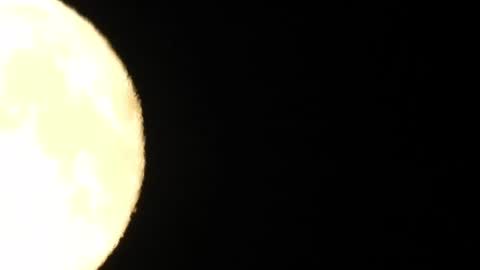 horny_edgucated online show from 07-30-26, 09:36