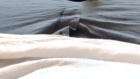 Snapshot of hornyallthetime6969696969 chatting on 04-25-26, 06:05 Tiny cock online show from 04-25-26, 06:05