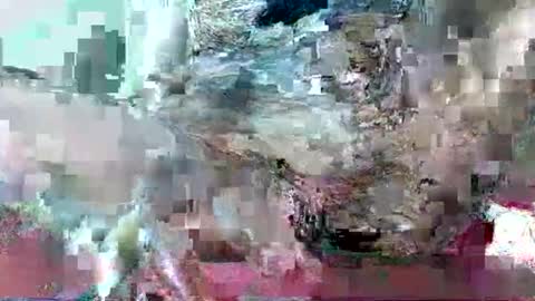 hornydrop_ online show from 09-30-25, 11:15