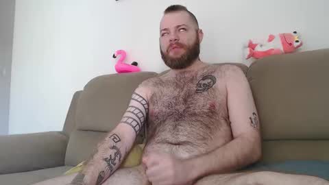Snapshot of hornyhairy_bi chatting on 03-05-25, 05:50 Harry online show from 03-05-25, 05:50