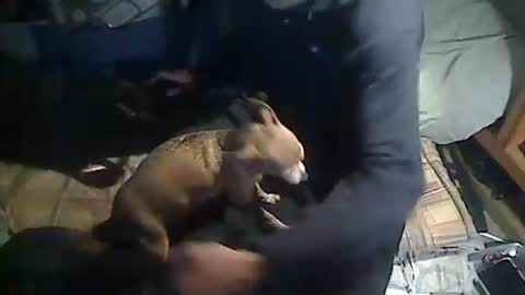 hornyscott666 online show from 03-04-26, 09:04